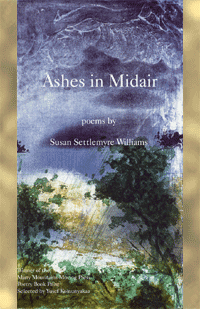 Ashes in Midair book cover